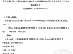 0.99元/Wh!山東大王鎮(zhèn)200MW/800MWh獨立共享儲能電站EPC中標公示